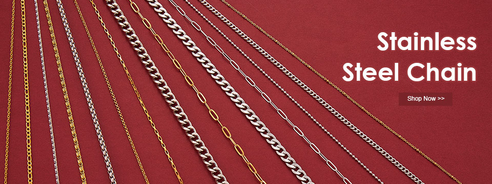 Stainless Steel Chain